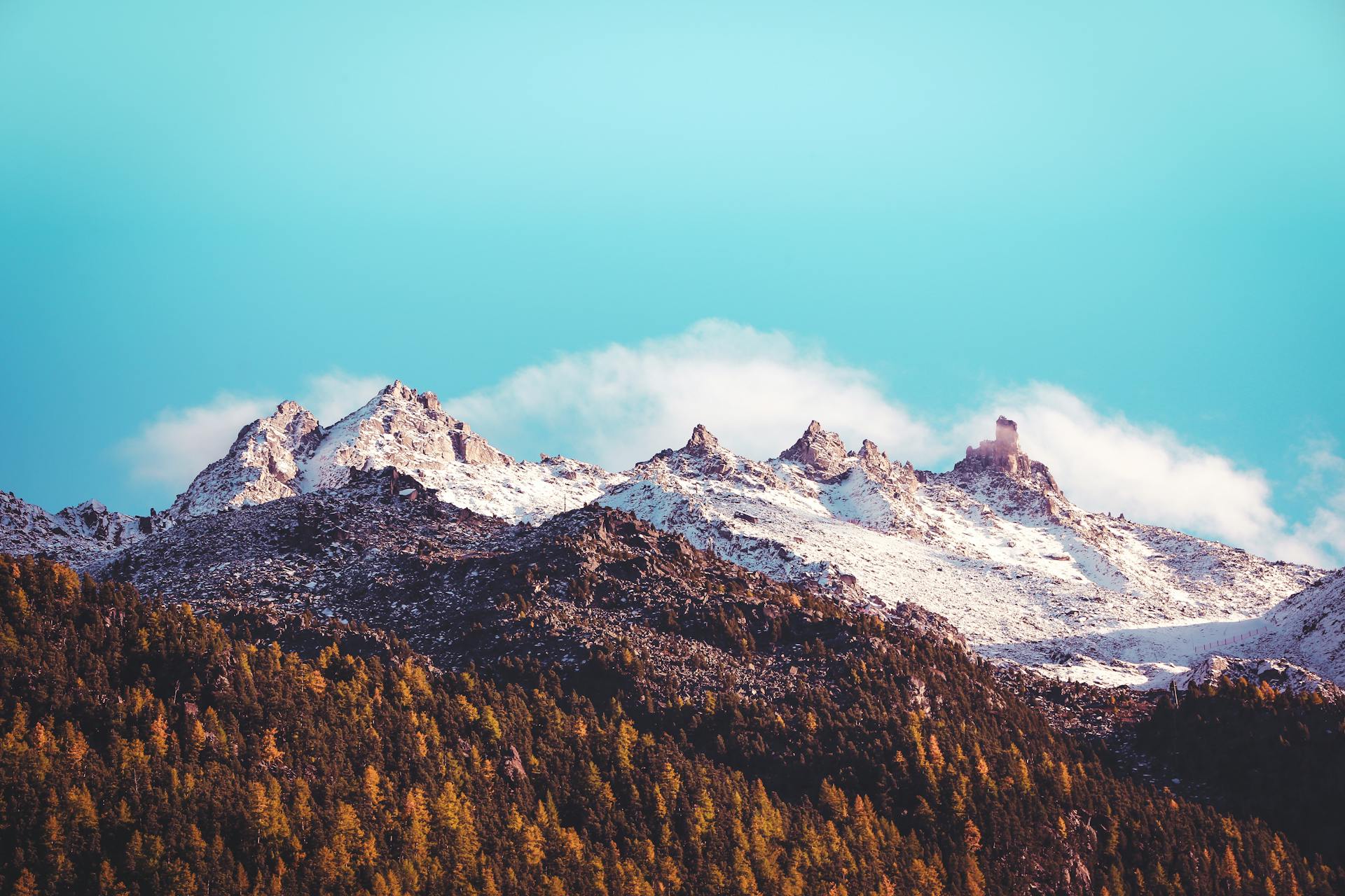 main background image
